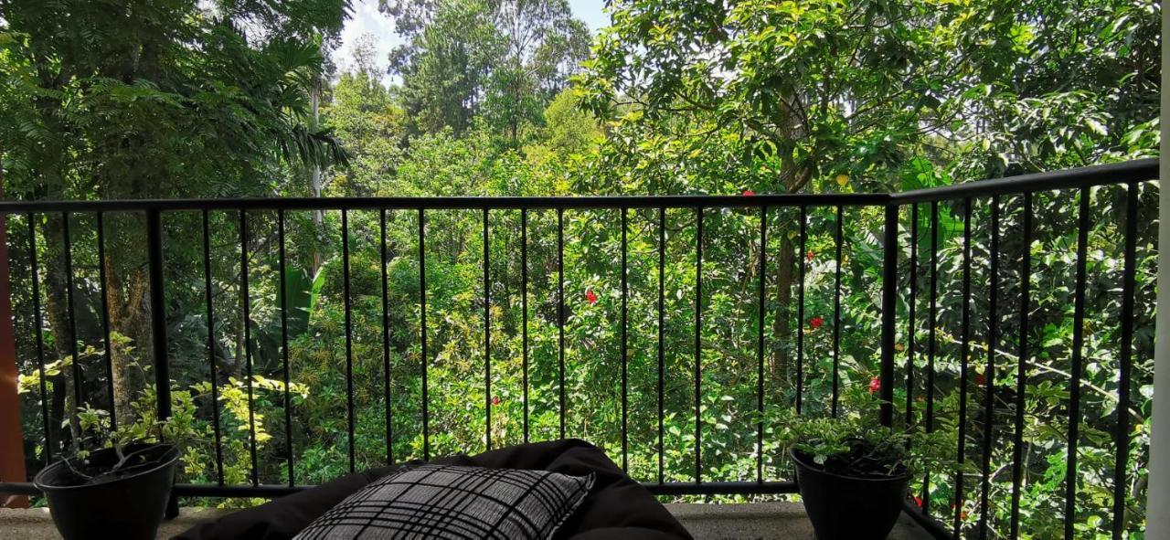 Tantra Ella Lodge ภายนอก รูปภาพ